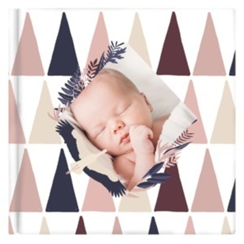 Babyalbum erstellen Intro Babyalbum erstellen Intro