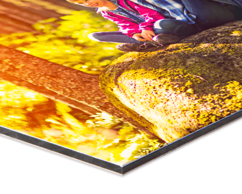 Detailansicht der Fototafel Detailansicht der Fototafel