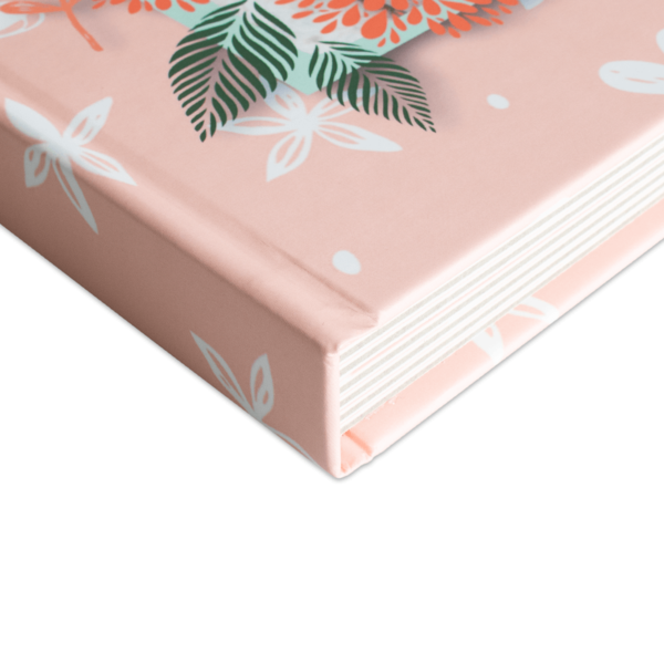 Pappbuch Deluxe 5 Pappbuch Deluxe 5