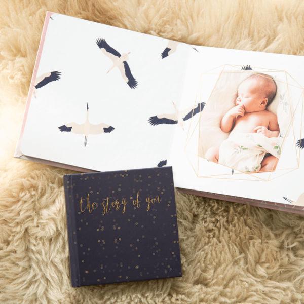 Pappbuch Deluxe offen Pappbuch Deluxe offen