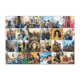 Poster Collage 2 Poster Collage 2
