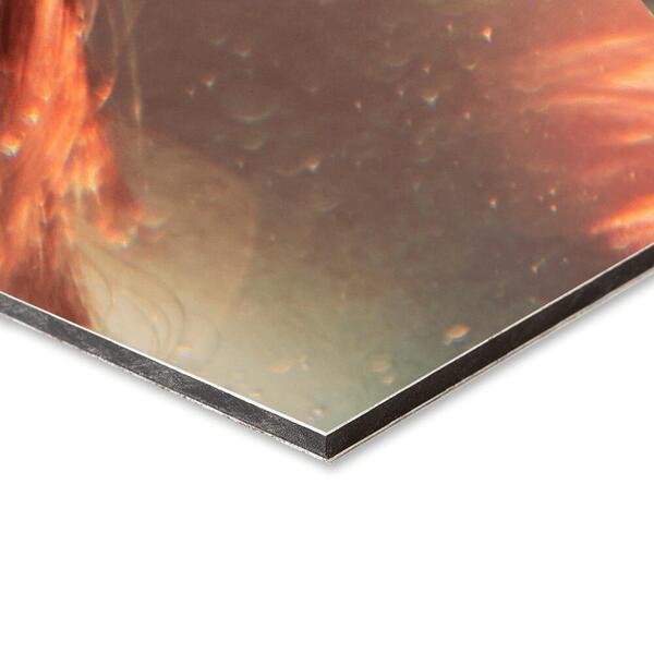 Ihr Foto auf Alu-Dibond im Detail