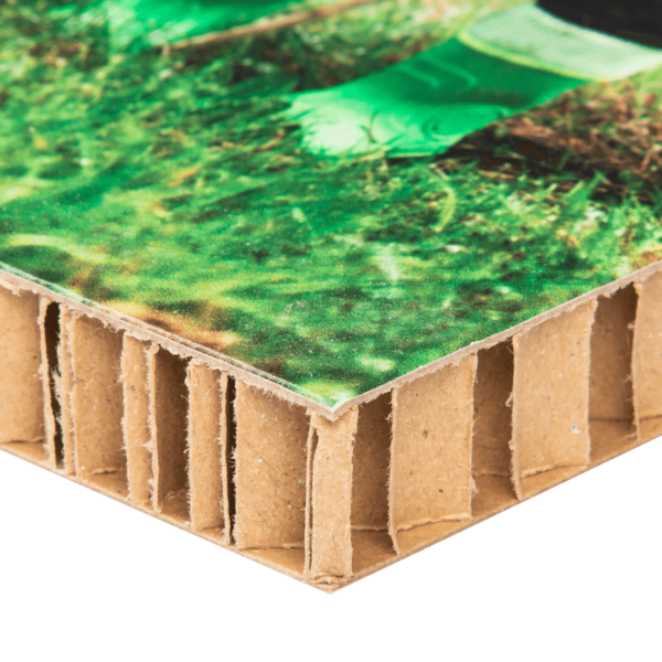 Foto auf Karton Detail