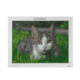 Diamond Painting