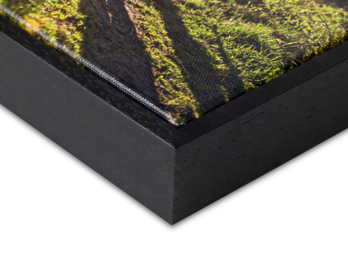 Canvas met lijst maken Canvas met lijst maken