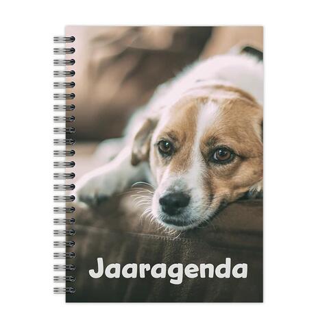 Hoe kun je een agenda bestellen? Hoe kun je een agenda bestellen?