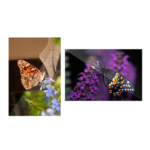 Fotoprint maken Fotoprint maken