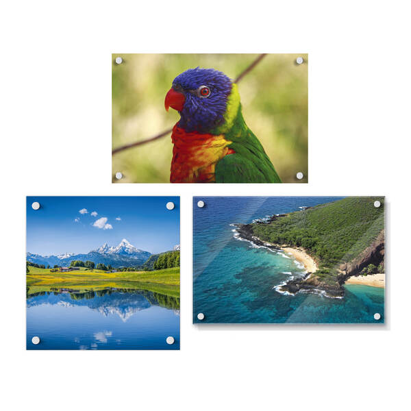 Foto op glas maken Foto op glas maken