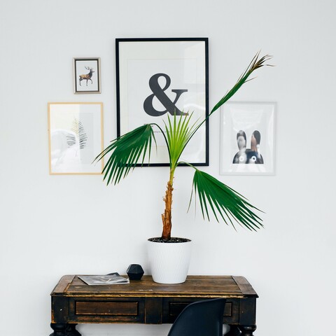 Wanddecoratie ophangen Wanddecoratie ophangen