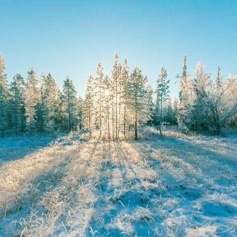 Fotograferen in de winter Fotograferen in de winter