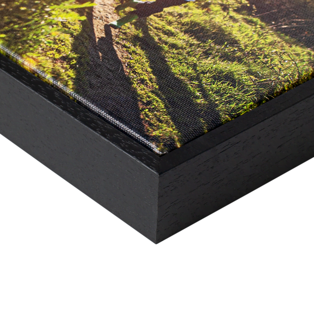 Canvas met lijst maken Canvas met lijst maken