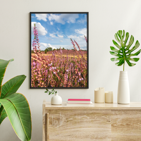 Fotogenieke natuurgebieden Fotogenieke natuurgebieden