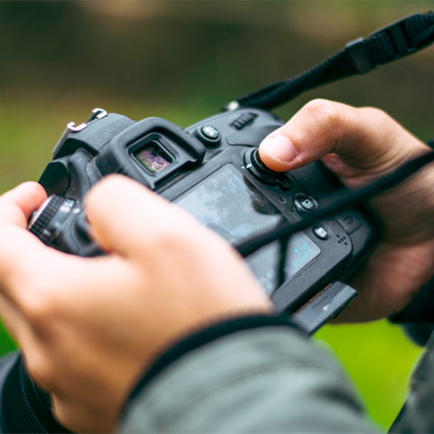 Fotograferen in de zomer (camera-instellingen) Fotograferen in de zomer (camera-instellingen)
