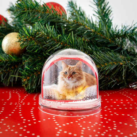 Kerstcadeau voor haar sneeuwbol