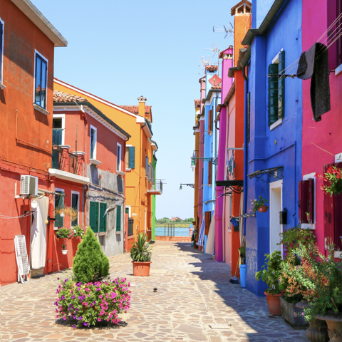 Fotograferen in de zomer (kleurrijke foto's) Fotograferen in de zomer (kleurrijke foto's)