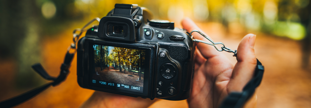 Fotograferen in de herfst Fotograferen in de herfst