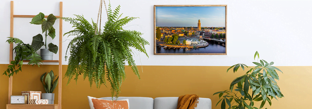 Zwolle in de woonkamer Zwolle in de woonkamer