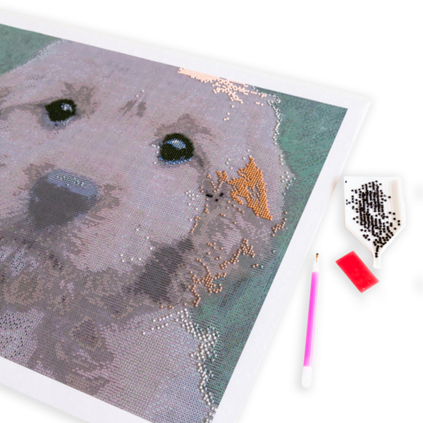 Diamond painting dier diamond-painting-dier