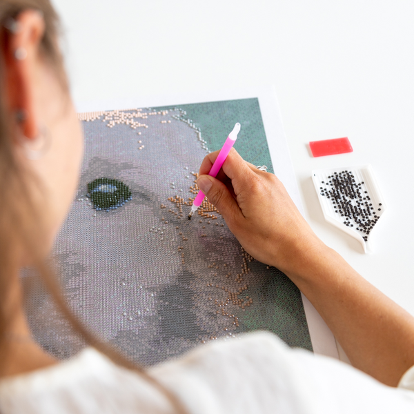 Nieuw product: diamond painting Nieuw product: diamond painting