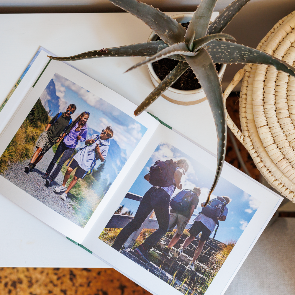 Grønn 21x21 vierkant Grønn 21x21 vierkant