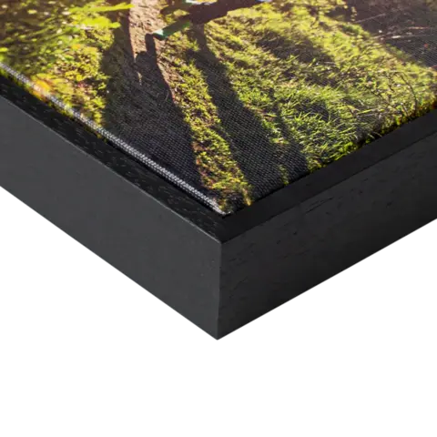 Foto op canvas met lijst detail Foto op canvas met lijst detail