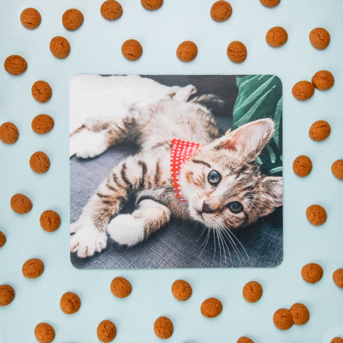 Snel sinterklaascadeau vader geleverd