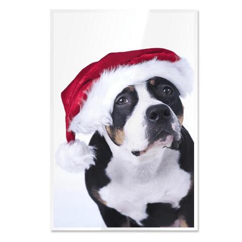 Uitnodiging kerst hond