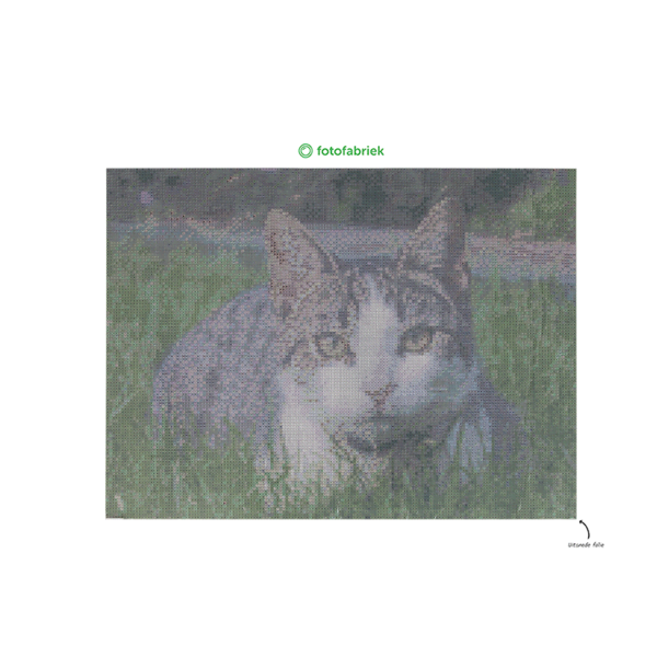 Diamond painting familiefoto (staand)