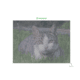Diamond painting familiefoto (staand)