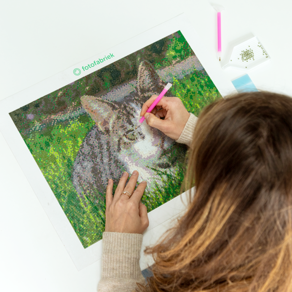 Diamond painting maken Diamond painting eigen foto