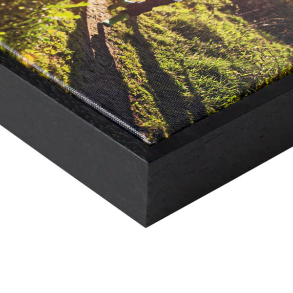 Canvas met lijst Canvas met lijst