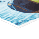 Forex detail Forex detail