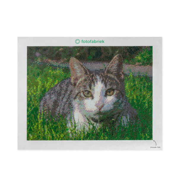 Diamond painting kattenfoto Diamond painting kattenfoto