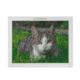 Diamond painting kattenfoto