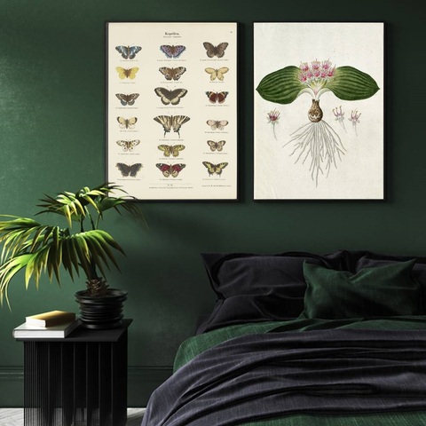 Botanische kunst aan de muur Botanische kunst aan de muur