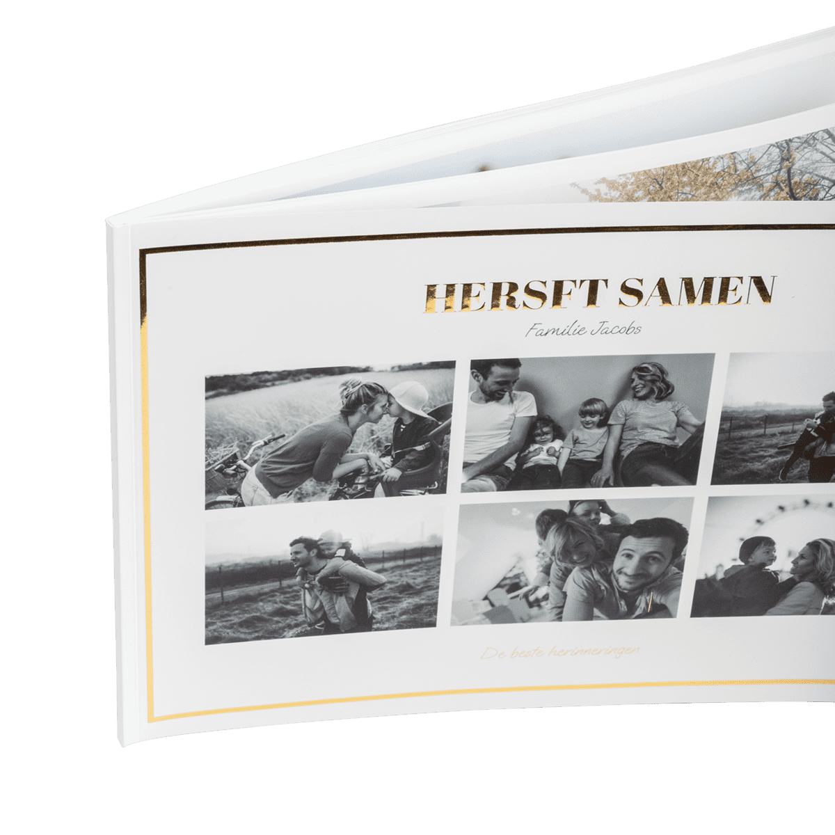 Softcover a4 liggend met goudfolie Softcover a4 liggend met goudfolie