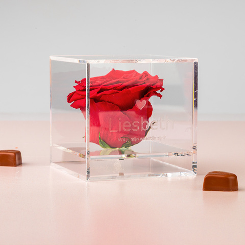 Roos in plexiglas voorkant