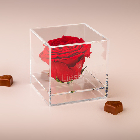 Roos in plexiglas zij aanzicht liesbeth