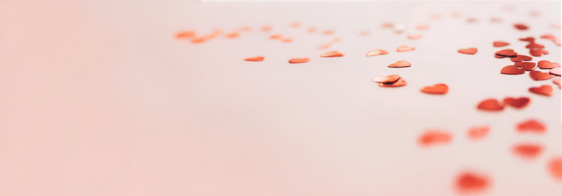 Roos in plexiglas overlay blaadjes