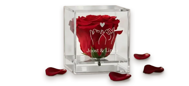 Roos in plexiglas website banner