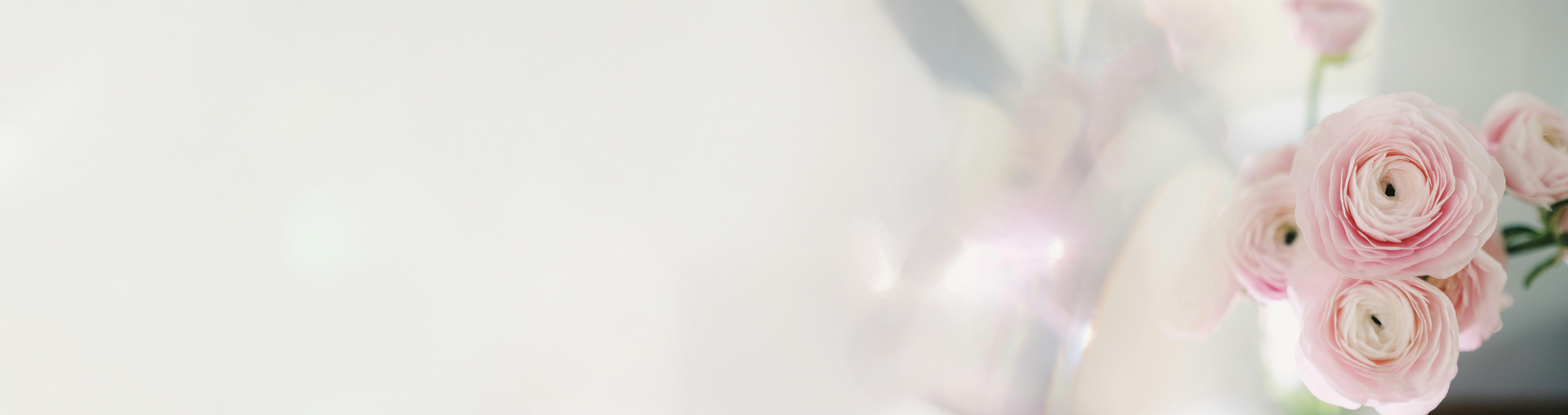 Roos in plexiglas overlay blaadjes Roos in plexiglas overlay blaadjes