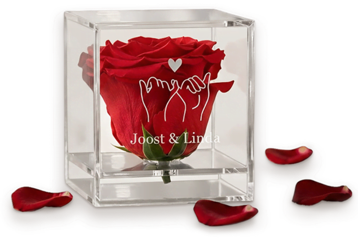 Roos in plexiglas website banner