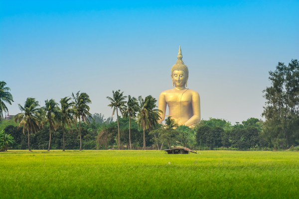 Rijstvelden van Ang Thong Thailand Rijstvelden van Ang Thong Thailand