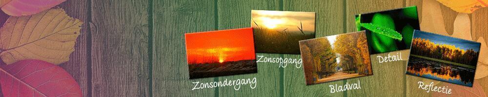 Fotografietips herfst Fotografietips herfst