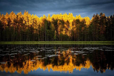 Reflectie Reflectie