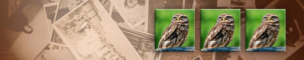 Sorteren foto's Sorteren foto's