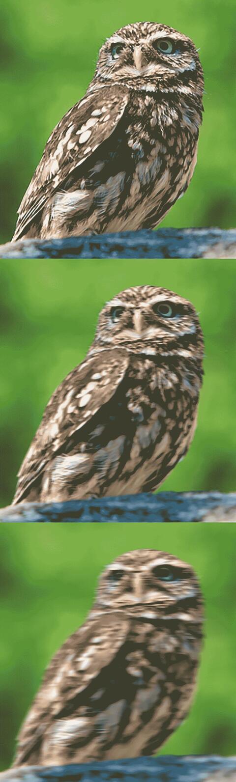 Sorteren op kwaliteit Sorteren op kwaliteit