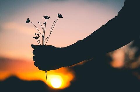Tegen de zon in Tegen de zon in
