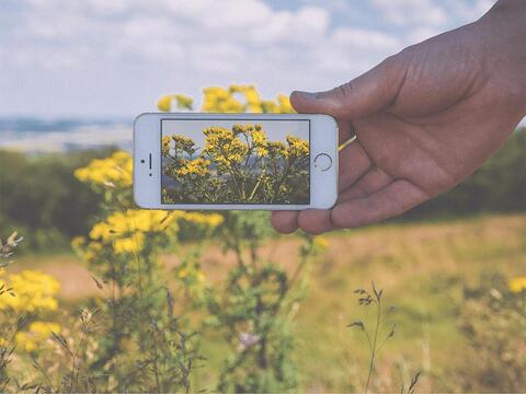 Welke smartphone maakt de mooiste kiekjes Welke smartphone maakt de mooiste kiekjes