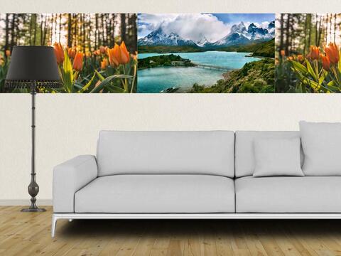 Fotobehang Fotobehang